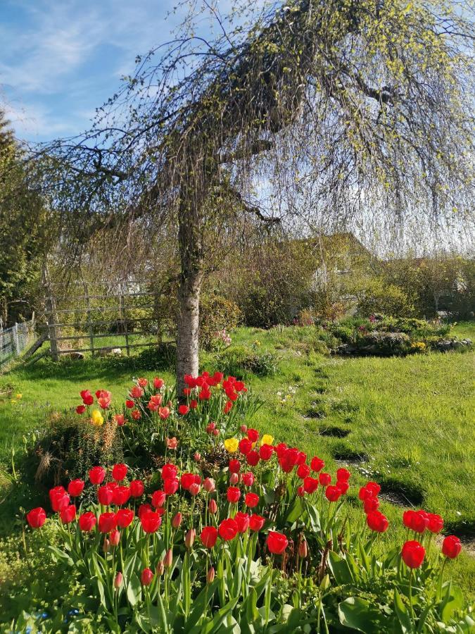 Moderne Ferienwohnung Gartenblick Amtzell Exterior foto